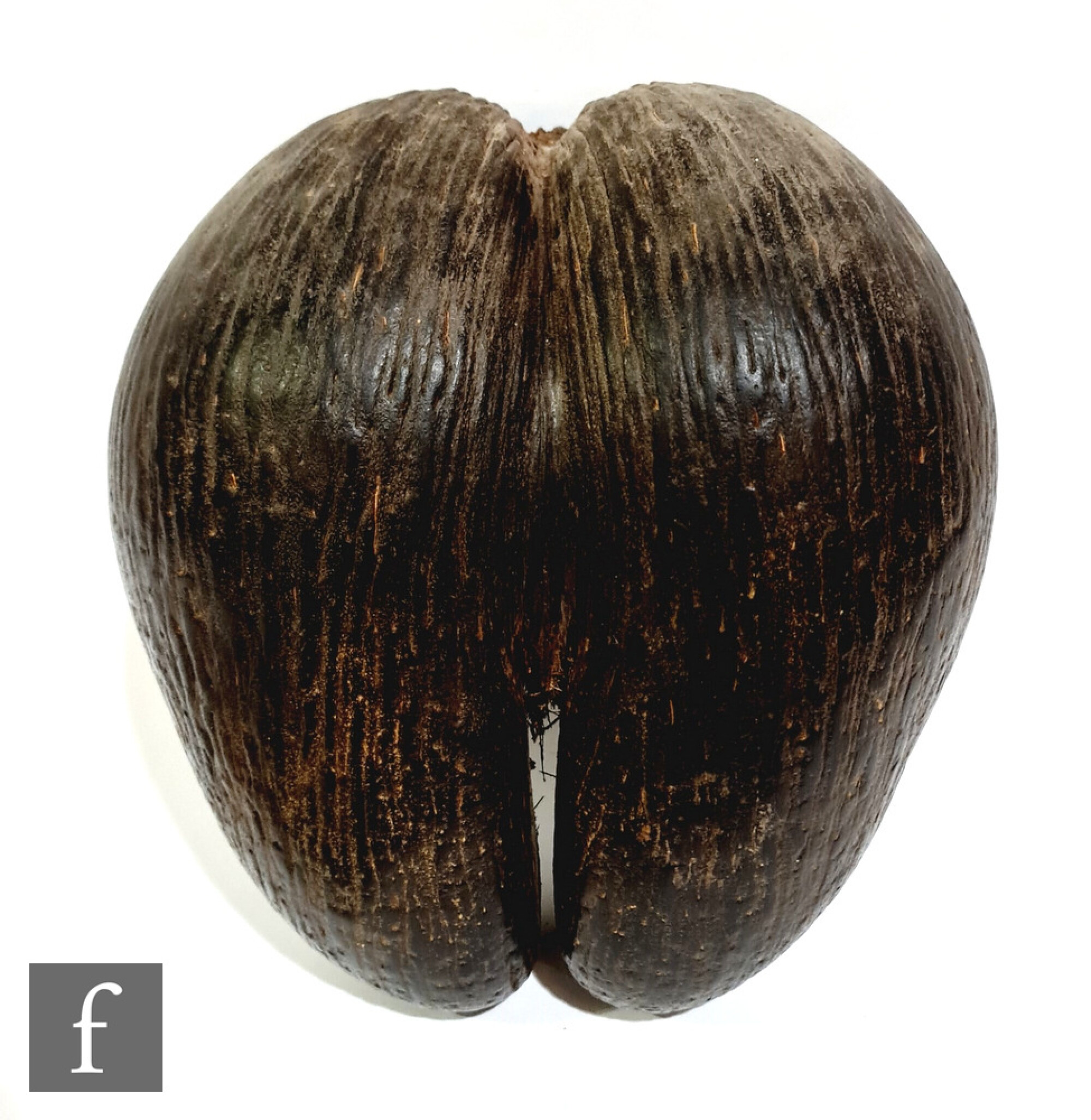 A coco de mer or sea coconu... | Fieldings Auctioneers